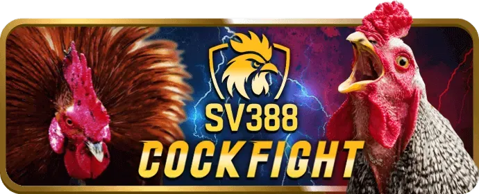 Hình ảnh tay vợt đang giao bóng, thể hiện cá cược quần vợt tại 32win32 khuyến mãi.